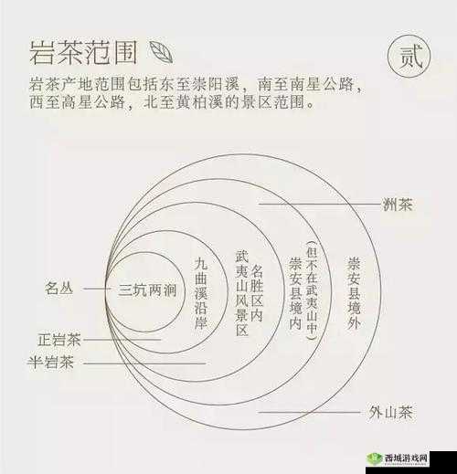 99 品一二三产区：深度解析区别