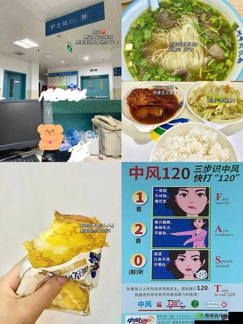 肉食教师食取报告 3HD:揭秘背后的故事