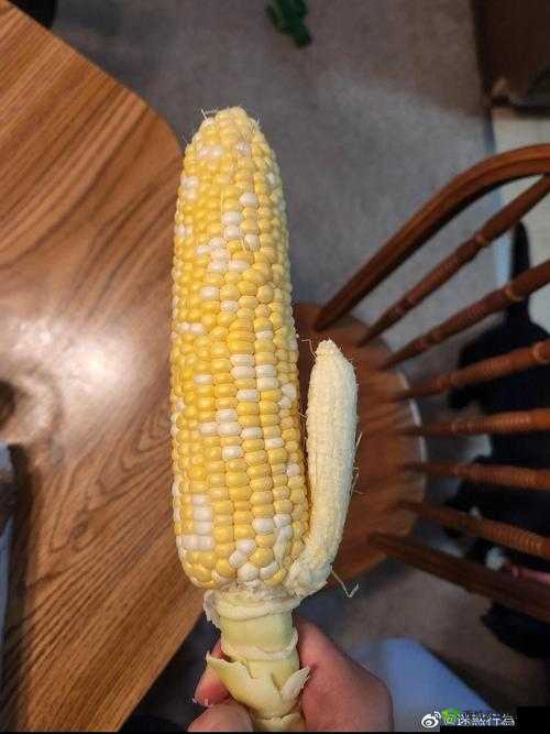 草莓樱桃丝瓜绿秋葵榴莲大全:美味果蔬集合