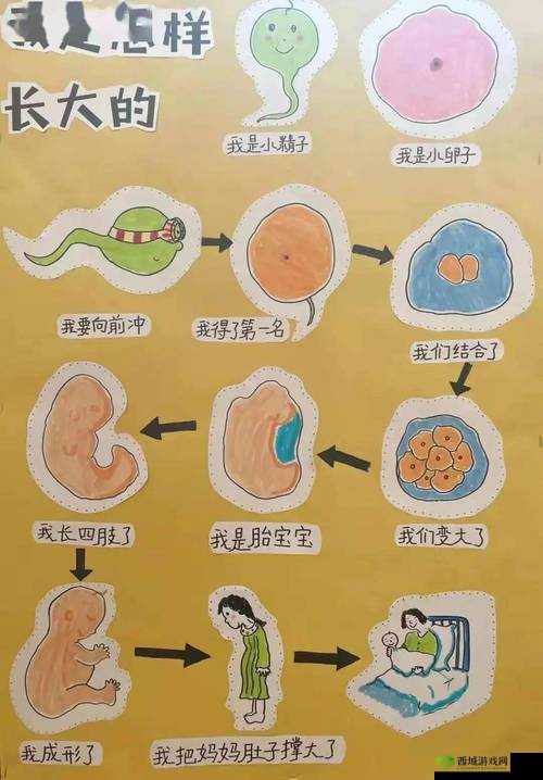 咪头：越吃越大怎么变小的奥秘