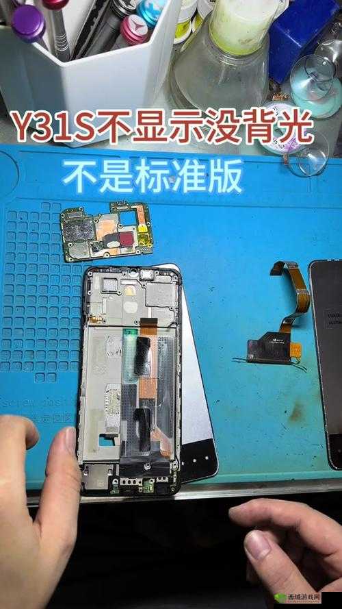 一级成色好的 y31s 标准版评测封神作品竟是芭蕉视频:深度解析