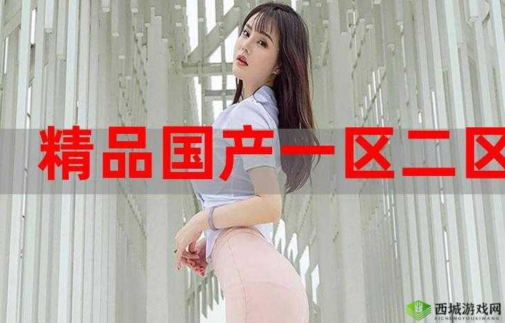 国精产品一品二品国精在线观看:畅享高品质视觉盛宴