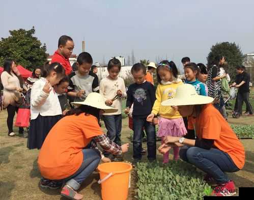 小森生活，解锁农林升级秘籍，打造你的田园梦想