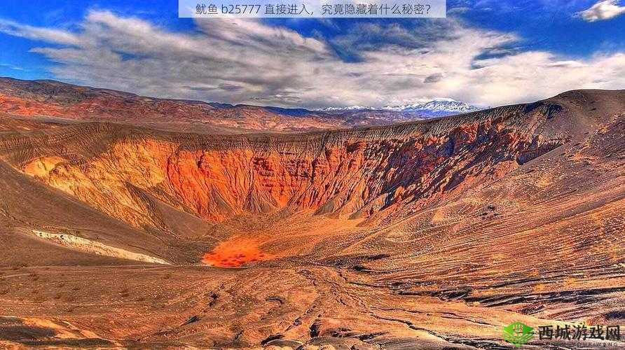 鱿鱼b25777 直接进入:带你探索奇妙的未知世界