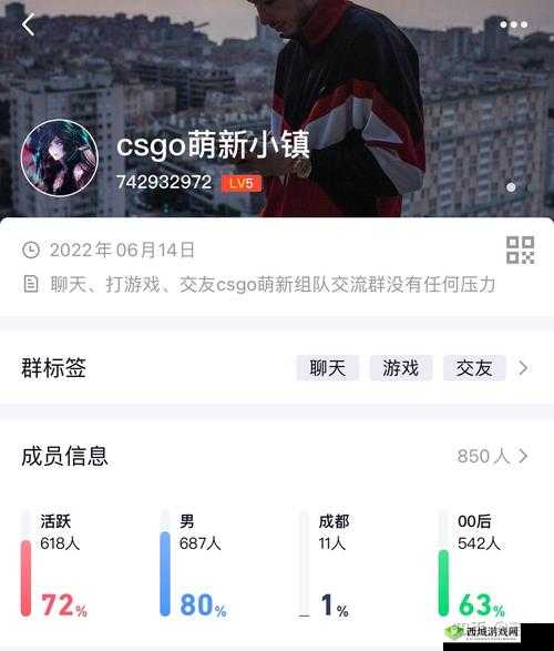 暴躁 CSGO 女性火爆全网:其背后原因及引发的广泛讨论