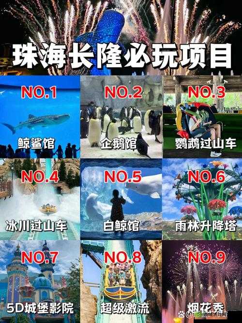 游龙传说,探索多元职业,领略奇幻之旅