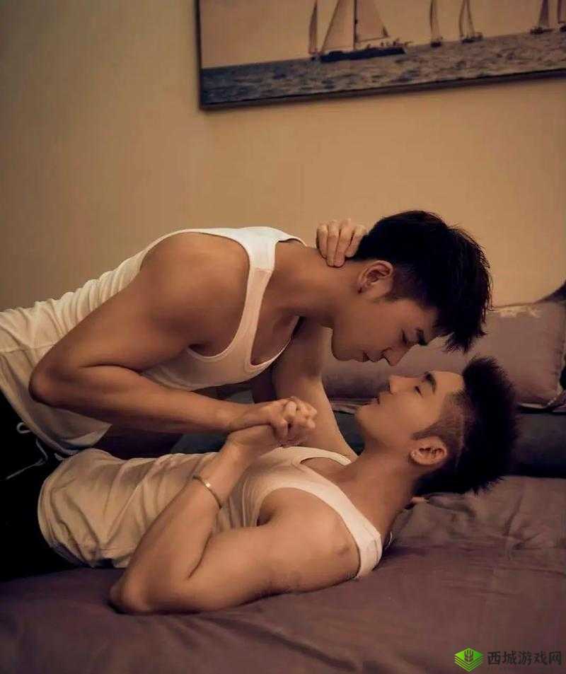中国帅哥男男同志 BOY:独特魅力闪耀的同志风采