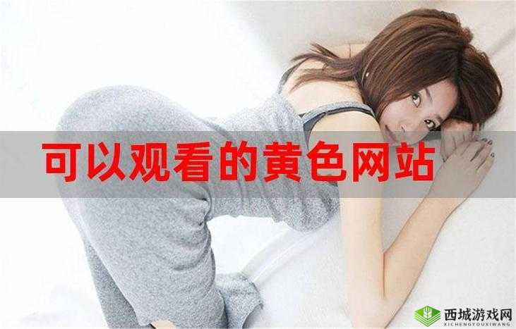 免费 B 站在线观看人数在哪儿找到:揭秘真实数据