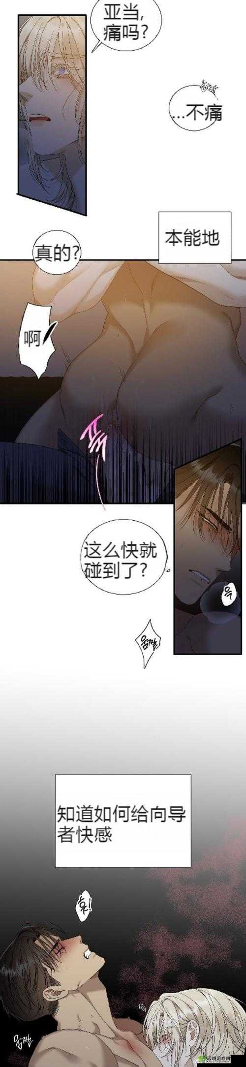 韩漫肉久久歪歪歪究竟有何独特魅力？引发全网热议的背后原因是什么？