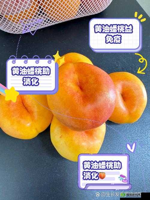 安卓像素黄油桃子是什么?为何它能在网络上引起广泛关注?安卓像素黄油桃子为何如此热门?背后的原因你知道吗?想了解安卓像素黄油桃子?快来一探究竟它的独特魅力